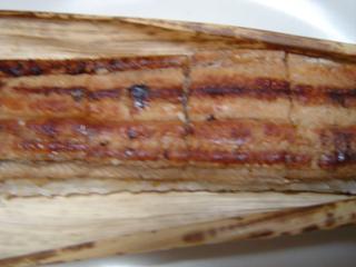 anago.jpg